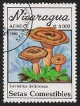 Sellos de America - Nicaragua -  SETAS-HONGOS: 1.201.013,00-Lactarius deliciosus