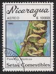 Stamps Nicaragua -  SETAS-HONGOS: 1.201.014,00-Panellus stipticus