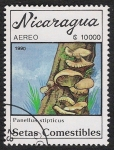 Stamps : America : Nicaragua :  SETAS-HONGOS: 1.201.014,01-Panellus stipticus -Dm.990.31-Y&T.A1317-Mch.3004