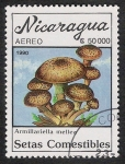 Sellos del Mundo : America : Nicaragua : SETAS-HONGOS: 1.201.017,00-Armillariella mallea