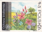 Stamps Poland -  flores