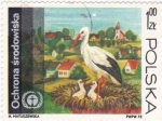 Stamps Poland -  cigüeñas y paisaje