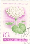 Stamps Romania -  flores