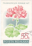 Stamps Romania -  flores