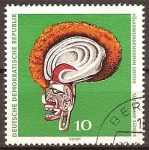 Stamps Germany -  Museo etnologico de Leipzig.Mascara de la danza mar del sur(DDR)