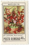 Stamps : Europe : Romania :  SOCFILEX`79