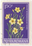 Stamps : Europe : Romania :  LINUM BORZAEANUM NYÁR.