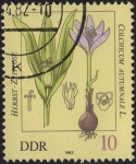 Stamps Germany -  HERBST-ZEITLOSE      Colchicum Autumnale L.