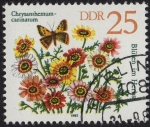 Stamps Germany -  BLÜIEN IM HERBS    Chrysanthemum Carinatum