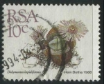 Stamps South Africa -  S739 - Plantas suculentas