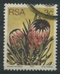 Stamps South Africa -  S477 - Protea neriifolia