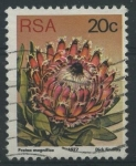 Stamps South Africa -  S486 - Protea maginifica