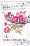 Stamps Argentina -  flores