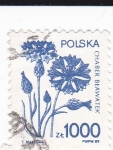 Sellos de Europa - Polonia -  flores