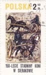 Stamps Poland -  1