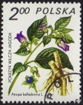 Stamps Poland -  Pokrzyk Wilza Jagoda