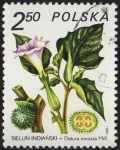 Stamps Poland -  Bielun Indianski