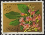 Stamps Poland -  Kasztanowiec Czerwony 