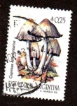 Stamps : America : Argentina :  Serie Hongos