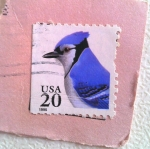 Stamps : America : United_States :  Blue jay