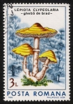 Stamps Romania -  SETAS-HONGOS: 1.213.024,00-Lepiota clypeolaria