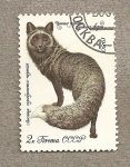 Stamps Russia -  Zorro