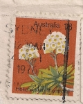 Stamps Australia -  helichrysum