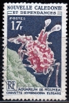Stamps New Caledonia -  Crevette Hymenocera Elegans	