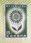 Stamps Netherlands -  C,E,P,T flower