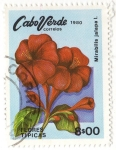 Stamps Africa - Cape Verde -  FLORES TIPICAS.- Mirabilis Jalapa I.