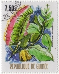 Stamps : Africa : Guinea :  COMBRETUNI GRANDIFLORUM