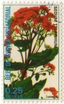 Stamps : Africa : Equatorial_Guinea :  SEDUM TELEPHIUM