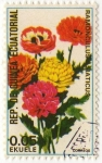 Stamps Equatorial Guinea -  RAMONCULUS ASIATICUS