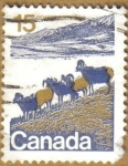 Stamps Canada -  Animales