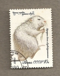 Stamps Russia -  Roedor