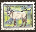 Sellos de Europa - Alemania -  Animales en peligro de extinción-Oryx de Arabia,zoológico de Berlín(DDR)