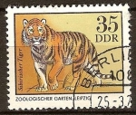 Sellos de Europa - Alemania -  Parques zoológicos en la DDR-Tigre seberiano.
