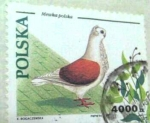 Stamps Poland -  Mewka polska 