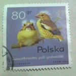 Stamps Poland -  Coccothraustes