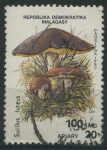 Stamps : Africa : Madagascar :  S1001D - Hongos (Suillus luteus)