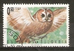 Stamps Bulgaria -  STRIX   ALUCO