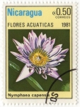 Stamps Nicaragua -  FLORES ACUATICAS.- Nymphaea Capensis