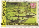 Stamps : America : Colombia :  PROTEJA LA AMAZONIA  "Victoria Regia"