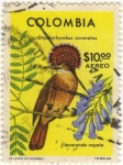 Stamps : America : Colombia :  Onychorhynchus  Coronatus  ·  Jacaranda Copaia