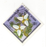 Stamps Mongolia -  POTANINIA MONGOLICA
