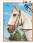 Stamps United Arab Emirates -  Sharja-caballo