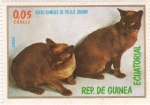 Sellos de Africa - Guinea Ecuatorial -  gatos siameses de pelaje oscuro