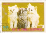 Sellos de Africa - Guinea Ecuatorial -  gatos persas