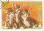 Stamps Equatorial Guinea -  gatos europeos