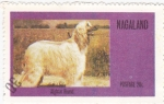 Sellos de Asia - Nagaland -  perros-Afgano